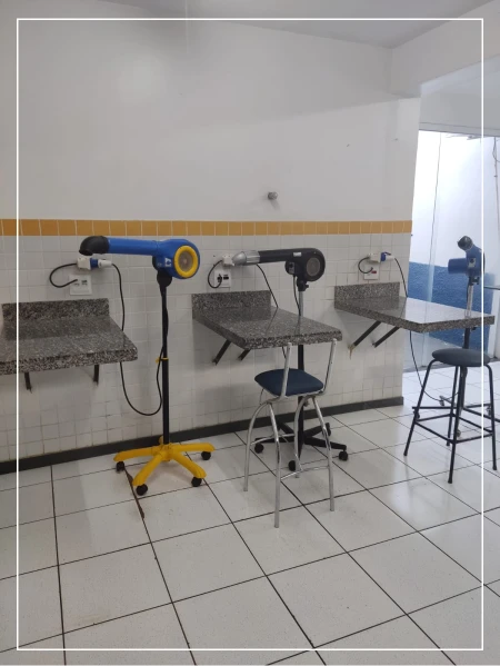 Banho e Tosa