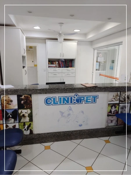 Recepção da Clinipet em Uberlândia