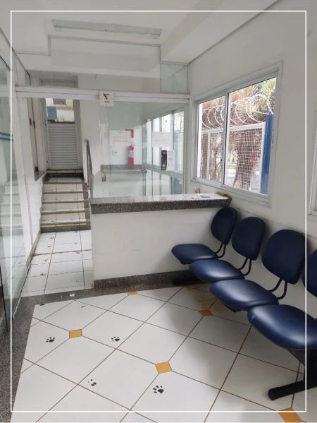 Recepção Banho e Tosa